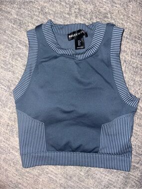 Bailey 44 Steel Blue Striped Crop Tank